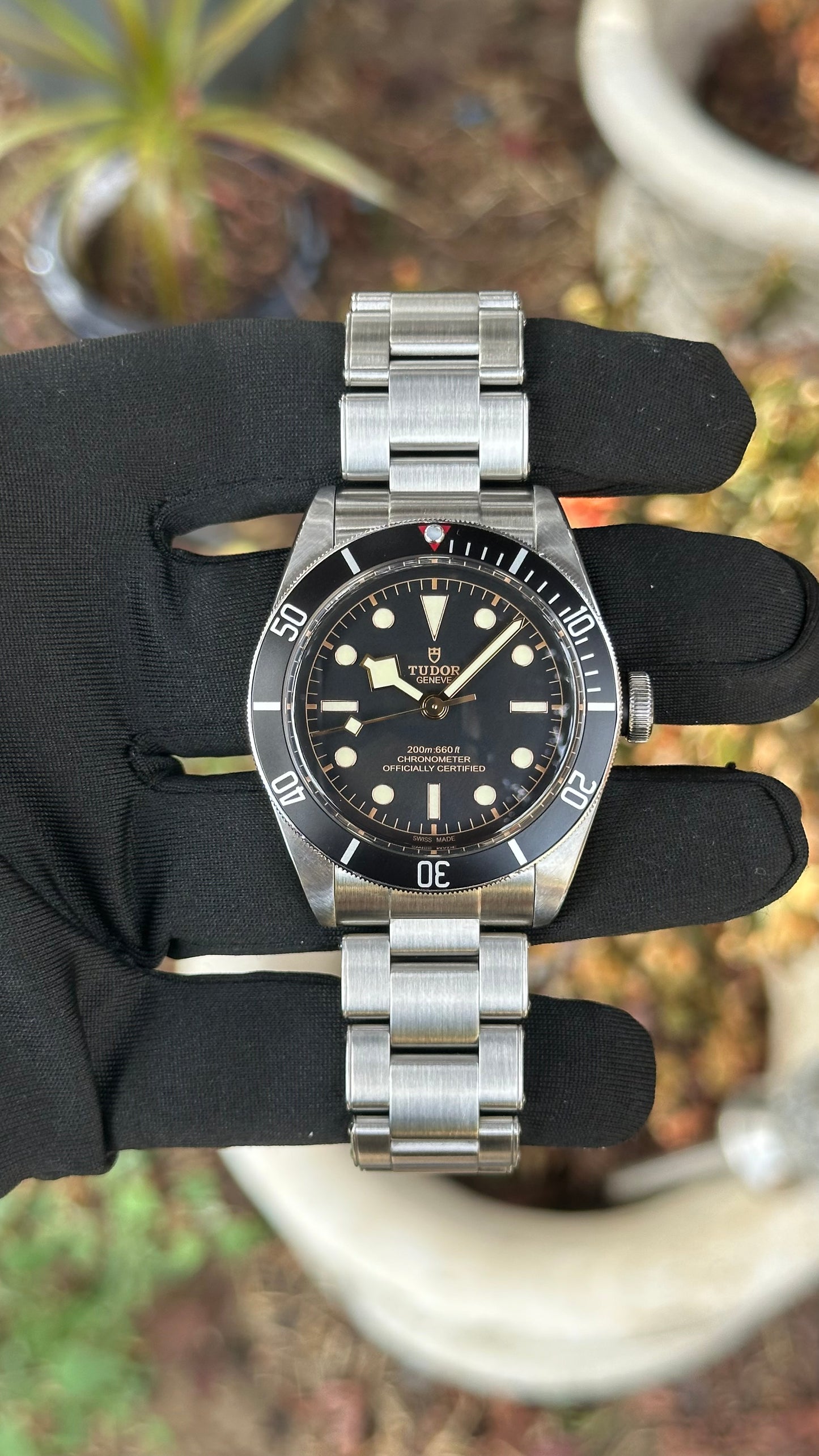 Tudor Black Bay