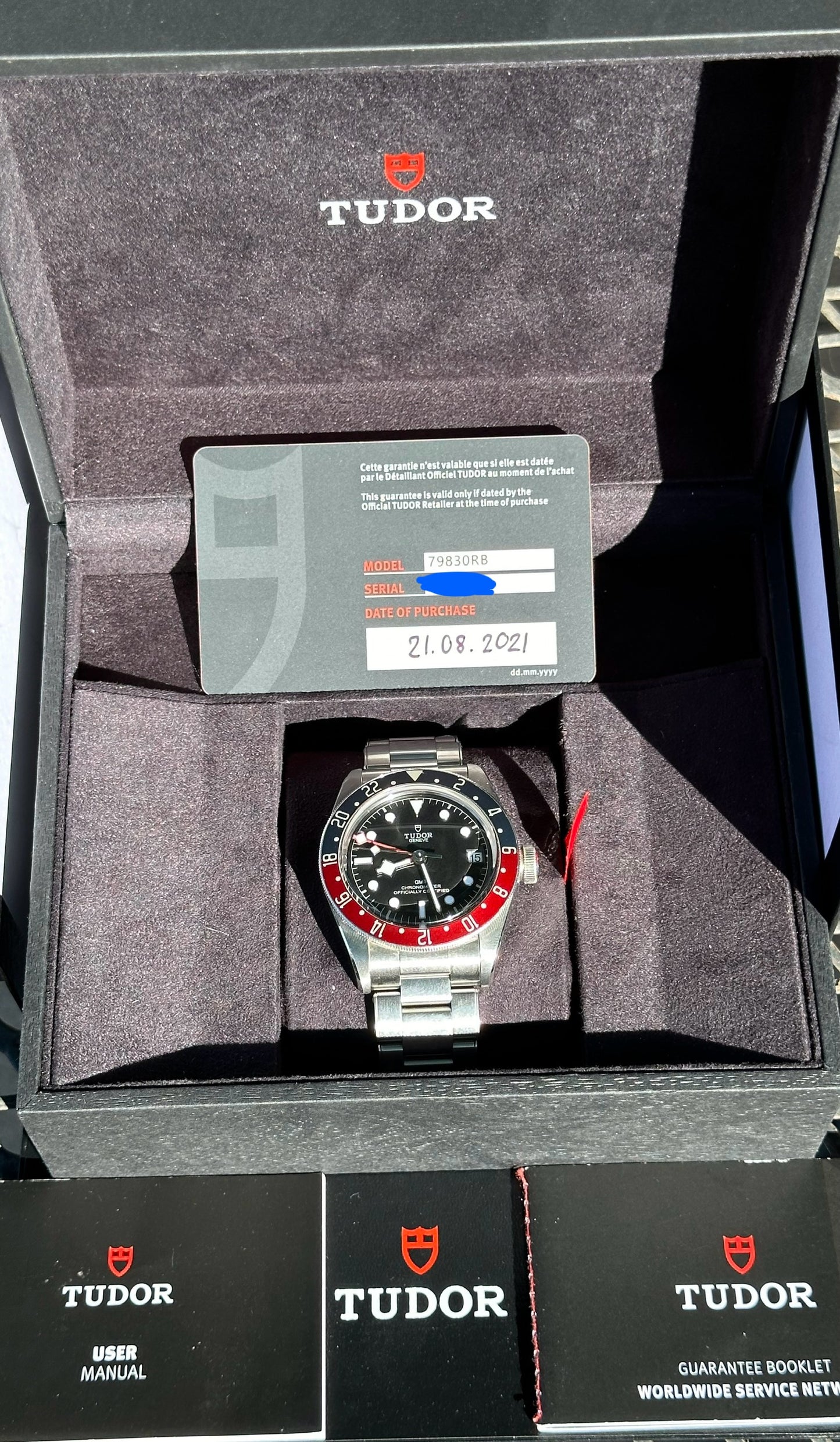 Tudor GMT “Pepsi”