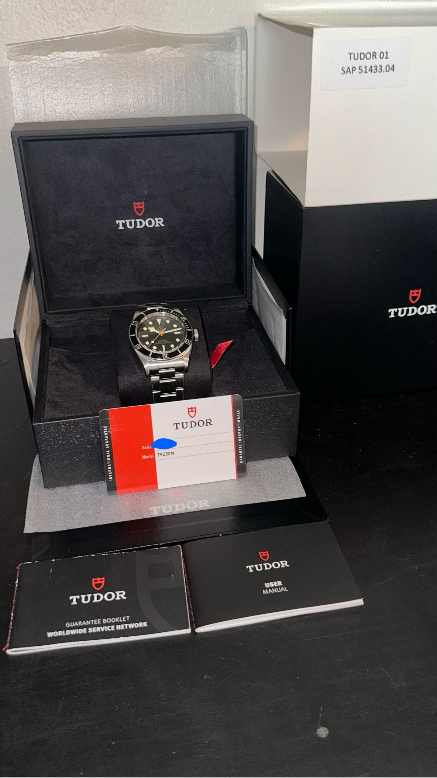 Tudor Black Bay